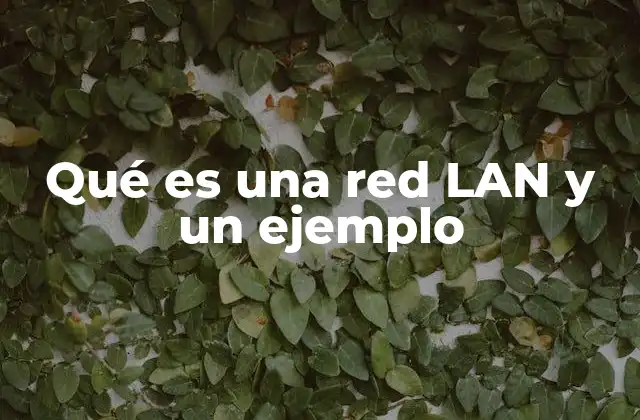 Qué es una Red Lan y un Ejemplo