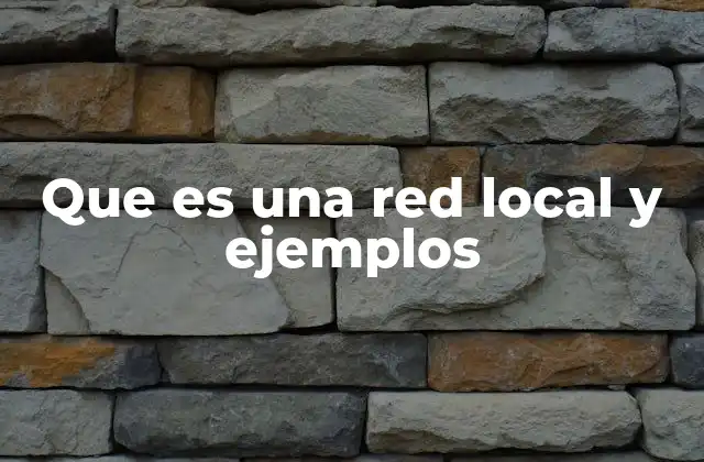 Que es una Red Local y Ejemplos