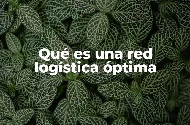 Qué es una Red Logística Óptima