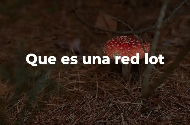 Que es una Red Lot