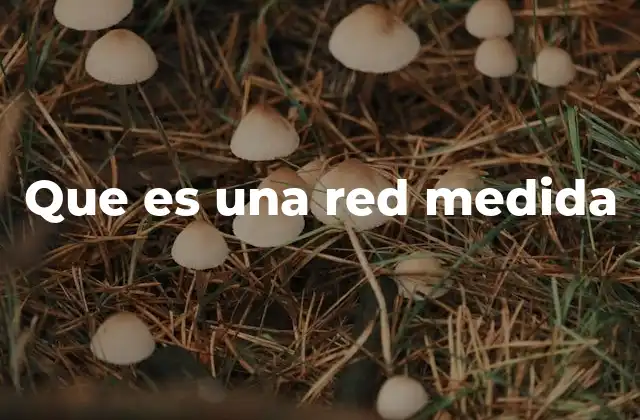 Que es una Red Medida