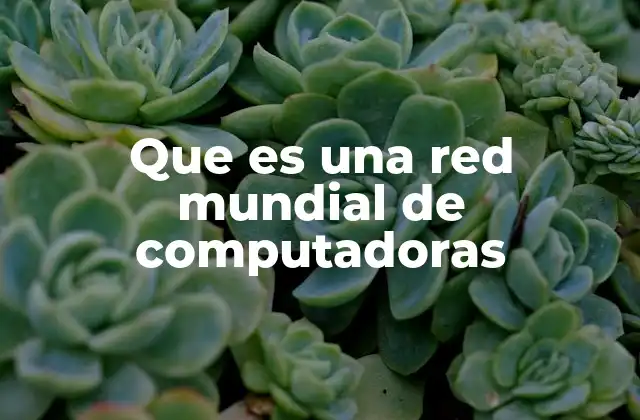 Que es una Red Mundial de Computadoras