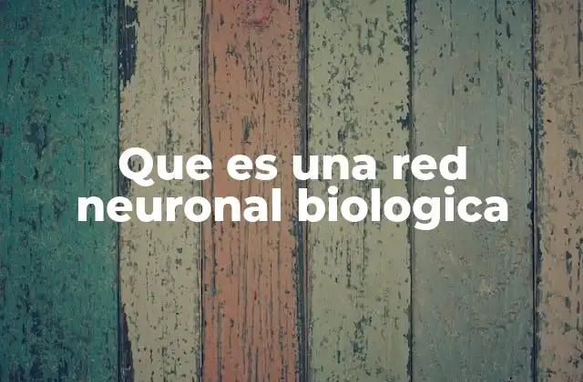 Que es una Red Neuronal Biologica