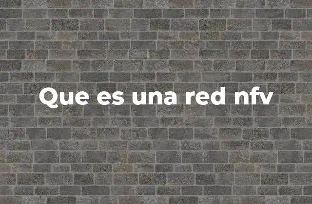 Que es una Red Nfv