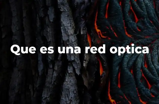 Que es una Red Optica