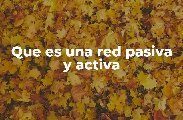 Que es una Red Pasiva y Activa