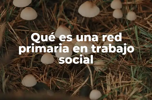 Qué es una Red Primaria en Trabajo Social