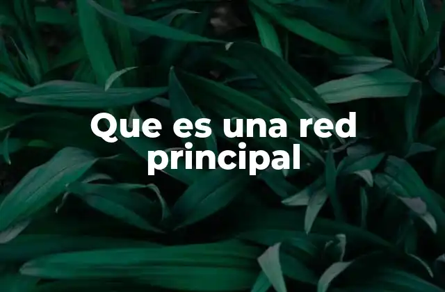 Que es una Red Principal