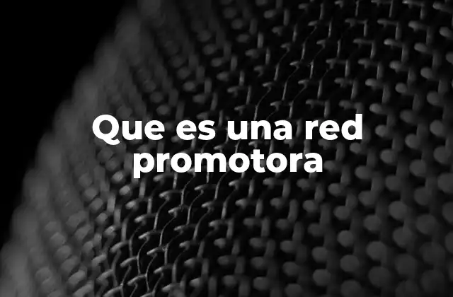 Que es una Red Promotora