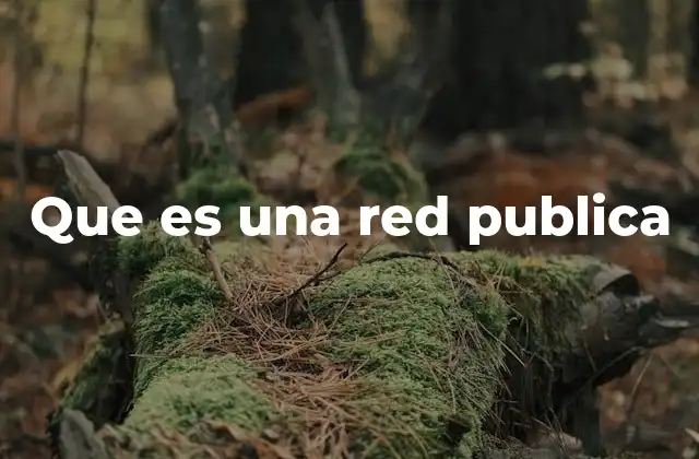 Que es una Red Publica