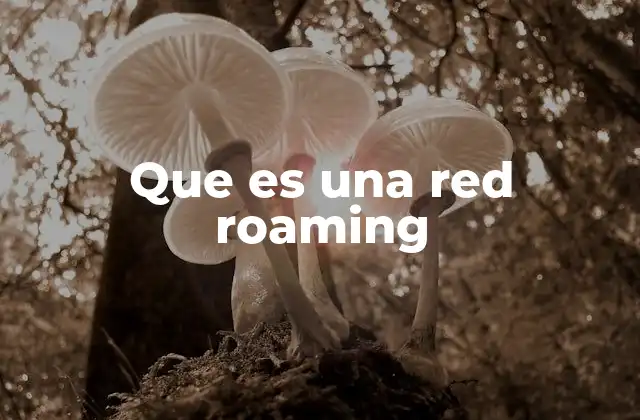 Que es una Red Roaming