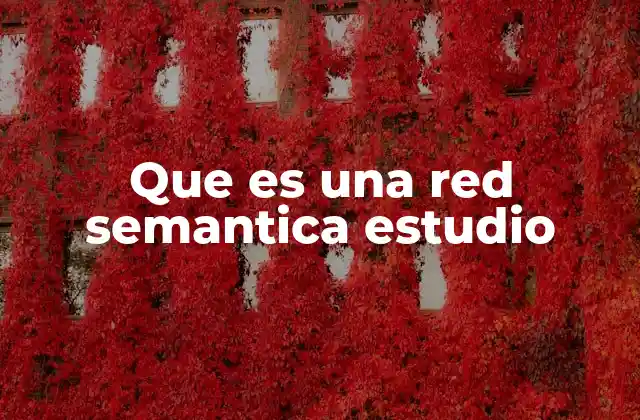 Que es una Red Semantica Estudio