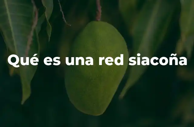 Qué es una Red Siacoña