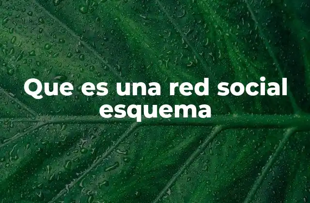 Que es una Red Social Esquema