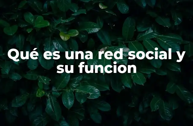 Qué es una Red Social y Su Funcion