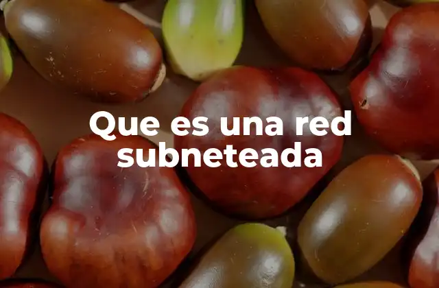 La importancia de organizar una red en subredes