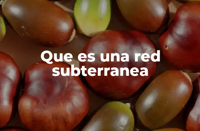 Que es una Red Subterranea