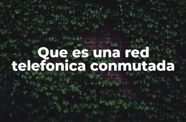Que es una Red Telefonica Conmutada