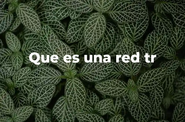 Que es una Red Tr