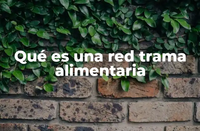 Qué es una Red Trama Alimentaria