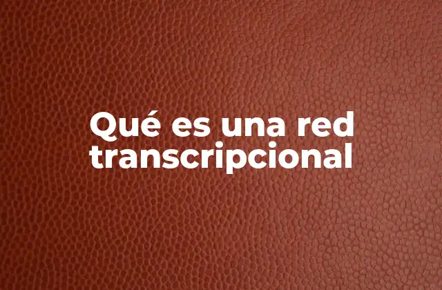 Qué es una Red Transcripcional