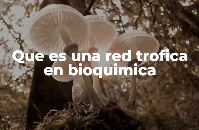 Que es una Red Trofica en Bioquimica