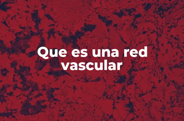 Que es una Red Vascular 2 La importancia de los sistemas de transporte en la evolución biológica