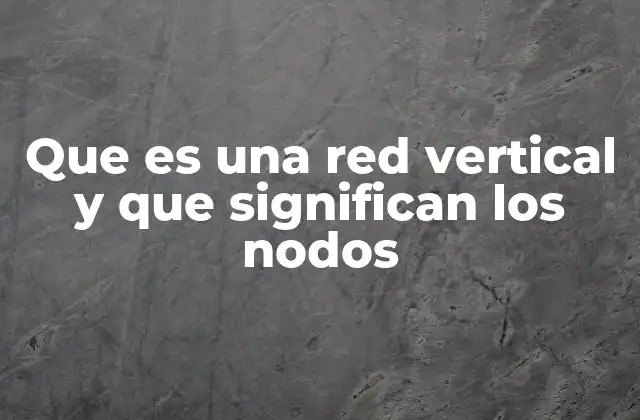 Que es una Red Vertical y que Significan los Nodos
