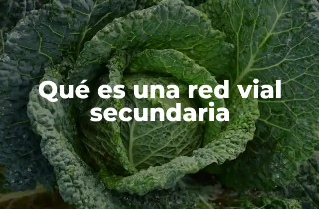 Qué es una Red Vial Secundaria