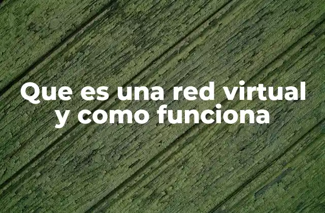 Que es una Red Virtual y como Funciona