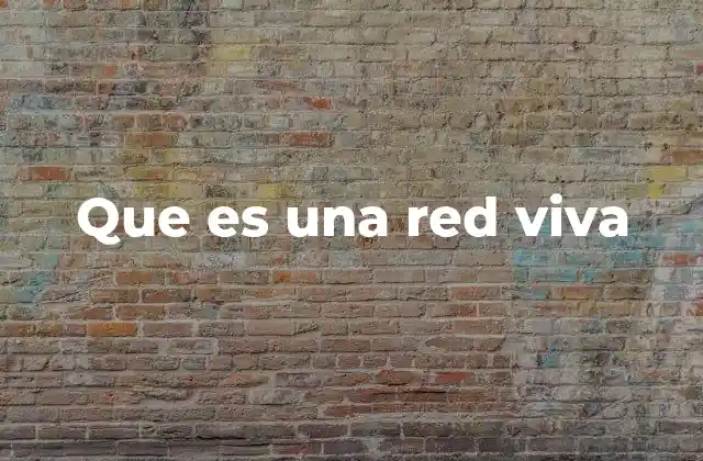 Que es una Red Viva