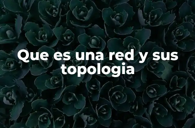 Que es una Red y Sus Topologia