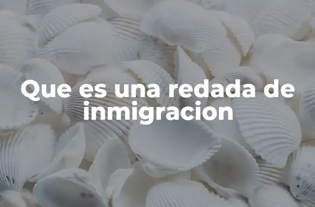 Que es una Redada de Inmigracion 2 Operaciones migratorias y su impacto en la sociedad