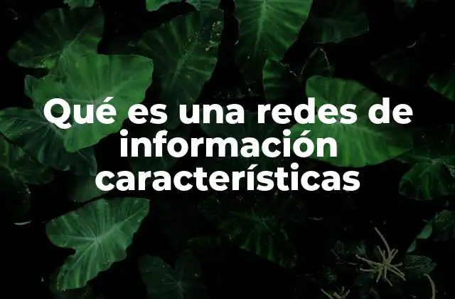Qué es una Redes de Información Características
