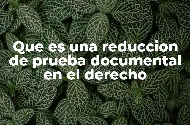 Que es una Reduccion de Prueba Documental en el Derecho