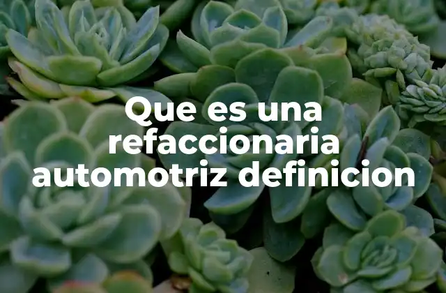El papel de las refaccionarias en la economía automotriz