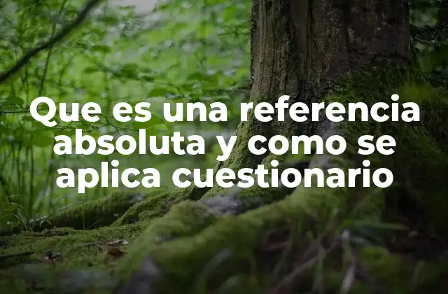 Que es una Referencia Absoluta y como Se Aplica Cuestionario