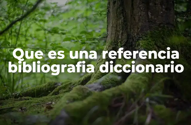 Que es una Referencia Bibliografia Diccionario