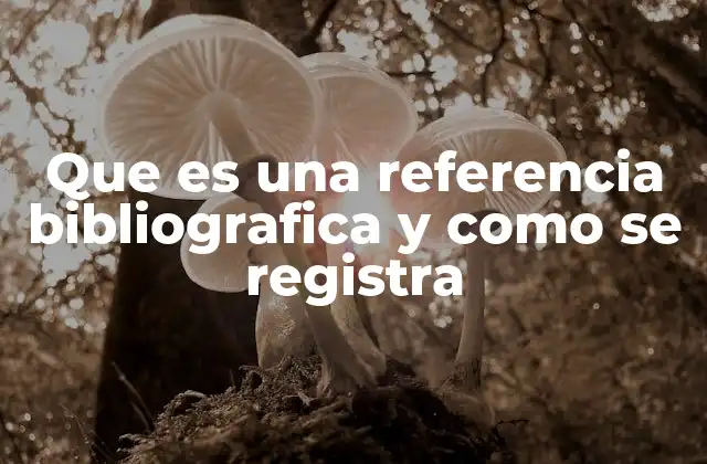 Que es una Referencia Bibliografica y como Se Registra