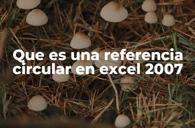 ¿Cómo identificar una referencia circular en Excel 2007?