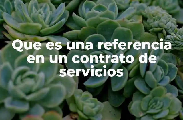 Que es una Referencia en un Contrato de Servicios
