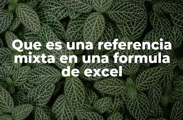 Que es una Referencia Mixta en una Formula de Excel 2 El poder de la combinación en las referencias de Excel
