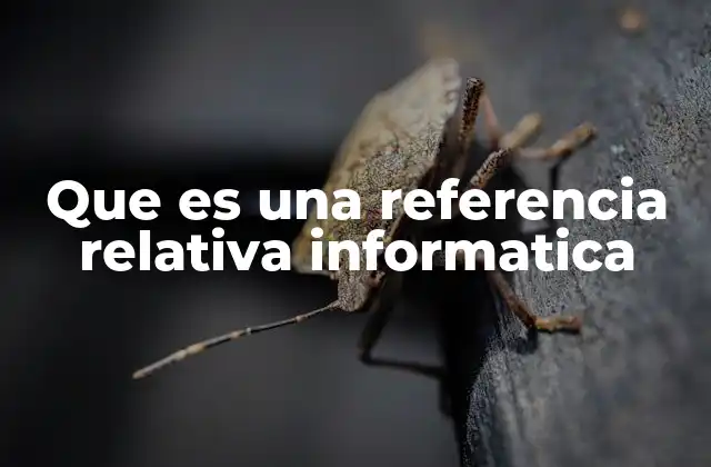 Que es una Referencia Relativa Informatica