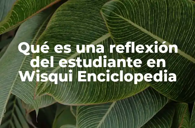 Qué es una Reflexión Del Estudiante en Wisqui Enciclopedia