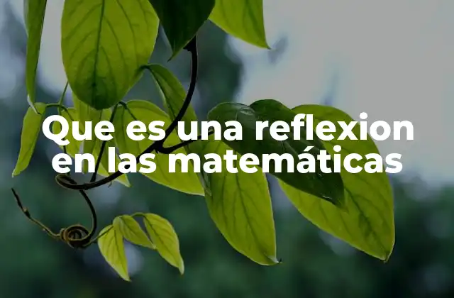 Que es una Reflexion en las Matemáticas