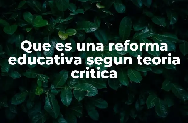 Educación transformadora: un enfoque más allá del currículo