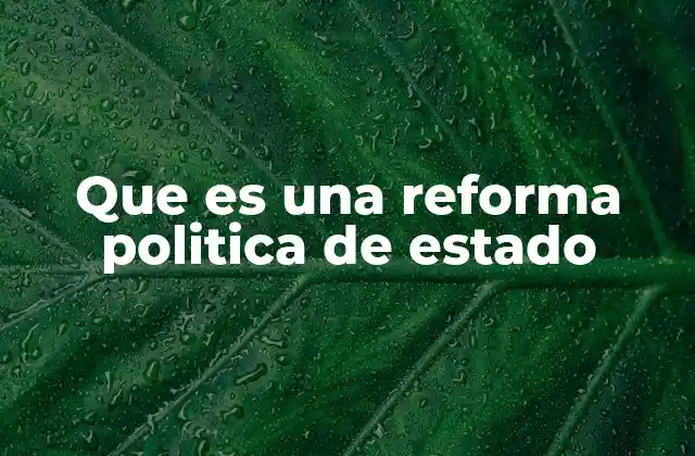 Que es una Reforma Politica de Estado