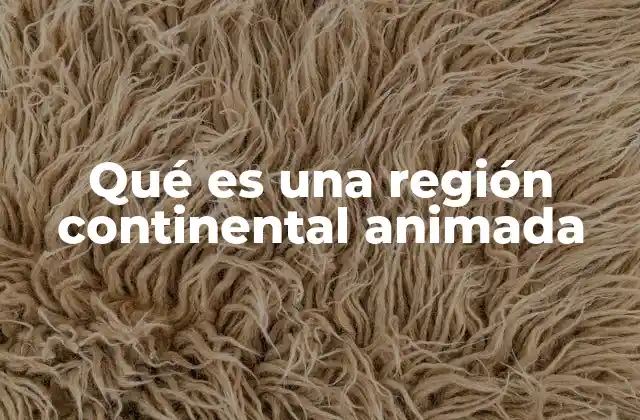 Qué es una Región Continental Animada