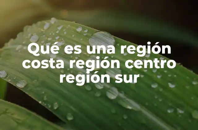 Qué es una Región Costa Región Centro Región Sur