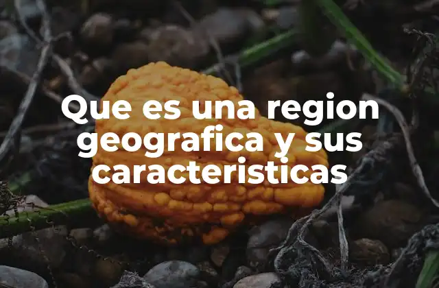 Que es una Region Geografica y Sus Caracteristicas
